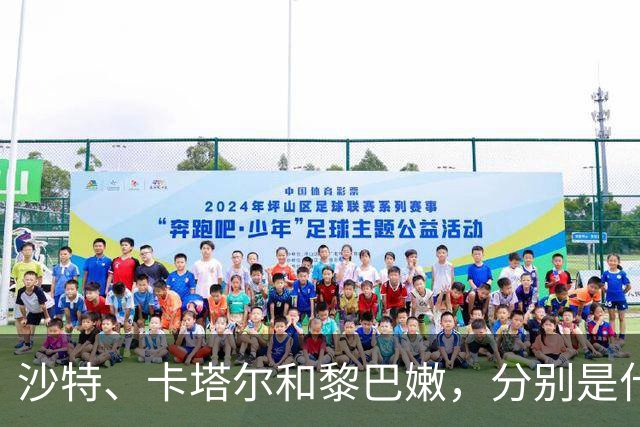 沙特、卡塔尔和黎巴嫩，分别是什么水平？